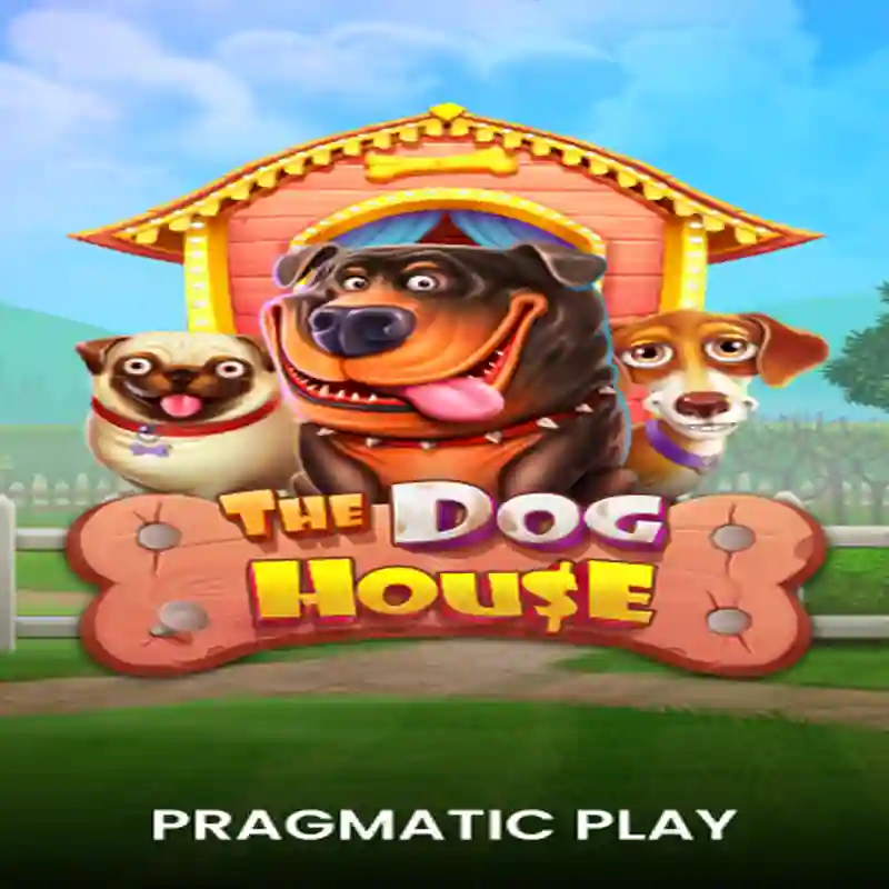 The Dog House slot game at rainbet casino